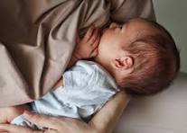 bébé
